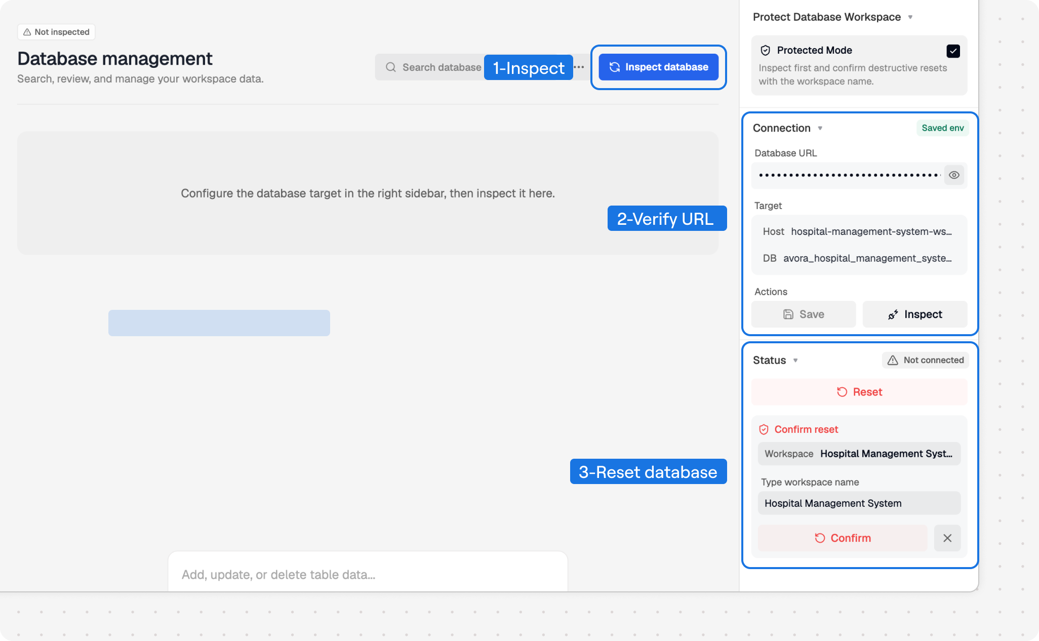 Database connection panel showing the Inspect database action, saved environment URL, target host and database, and workspace-name reset confirmation.